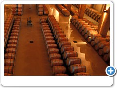 TOUR RUTA DEL VINO CASABLANCA    reservas@totalviajes.cl